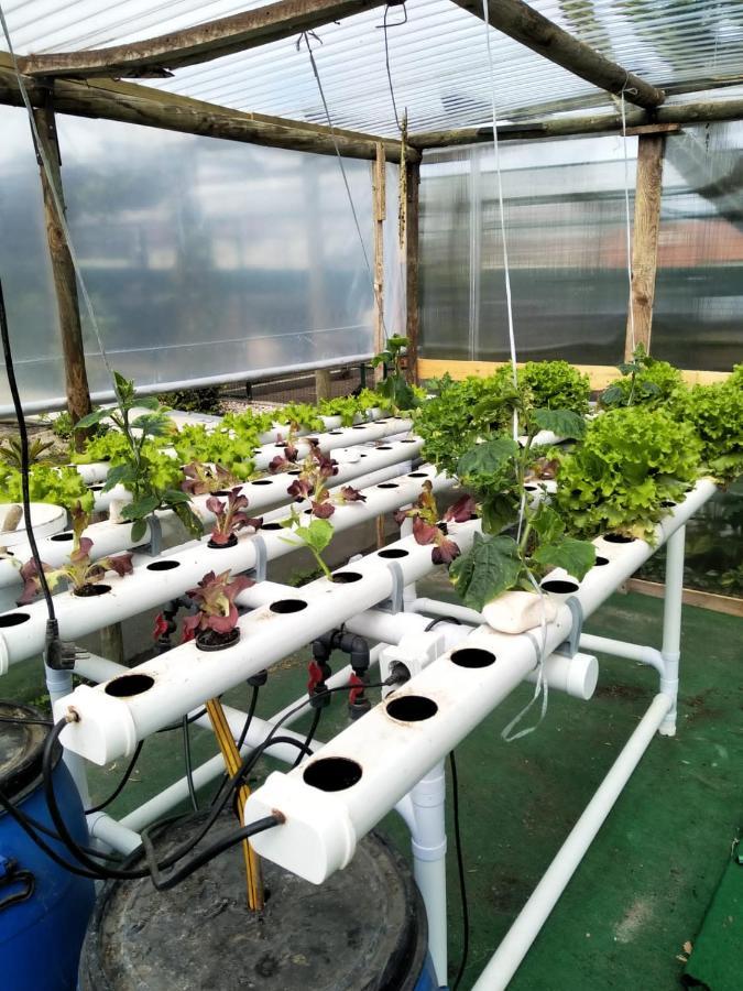 Your Home Eco & Natur Carvide المظهر الخارجي الصورة
