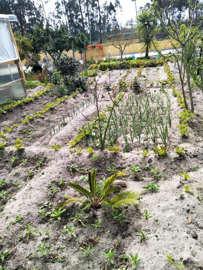 Your Home Eco & Natur Carvide المظهر الخارجي الصورة